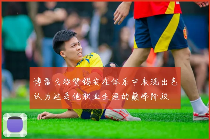 博雷戈称赞锡安在体系中表现出色认为这是他职业生涯的巅峰阶段