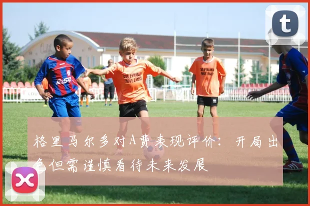 格里马尔多对A费表现评价：开局出色但需谨慎看待未来发展
